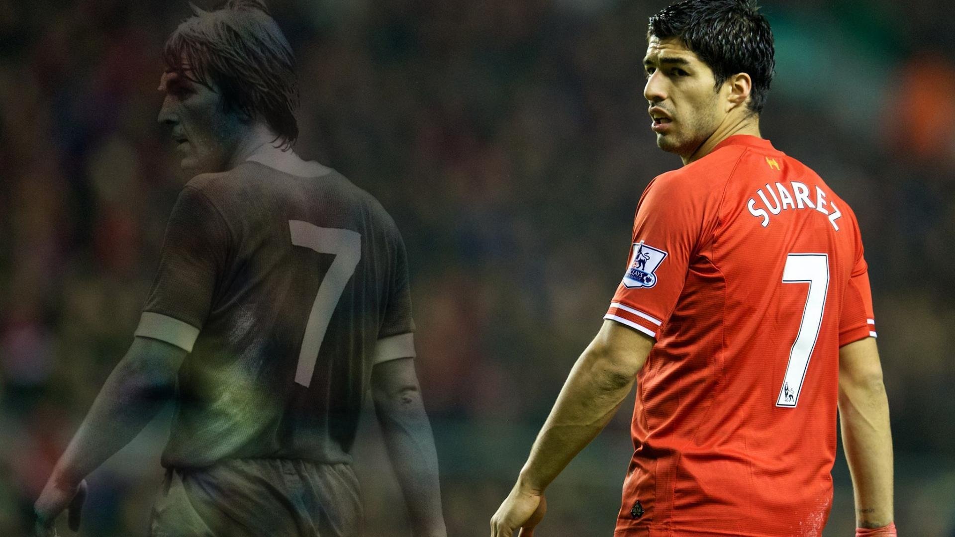 德甲会员制改革对票价政策与球迷忠诚度影响，德甲球票一般多少钱